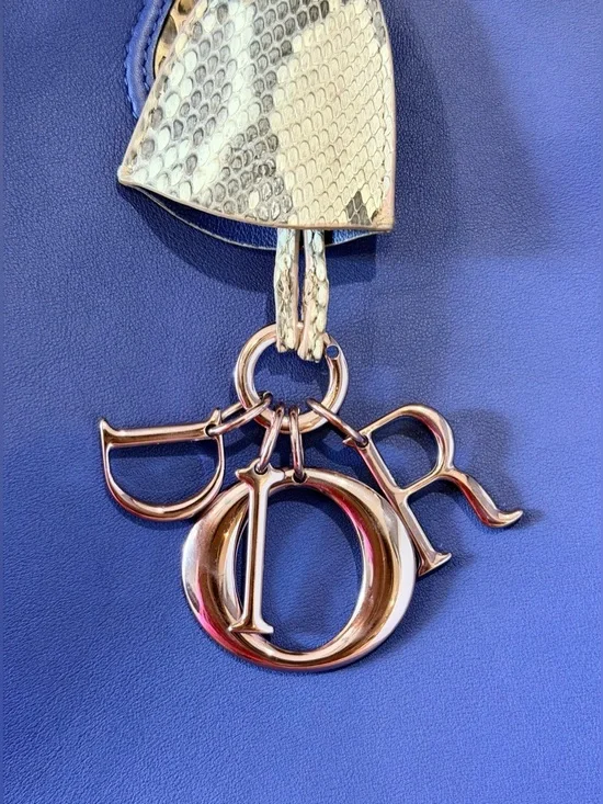 Christian Dior Python Vertical Addict Tote Bag - Picture 5 of 16